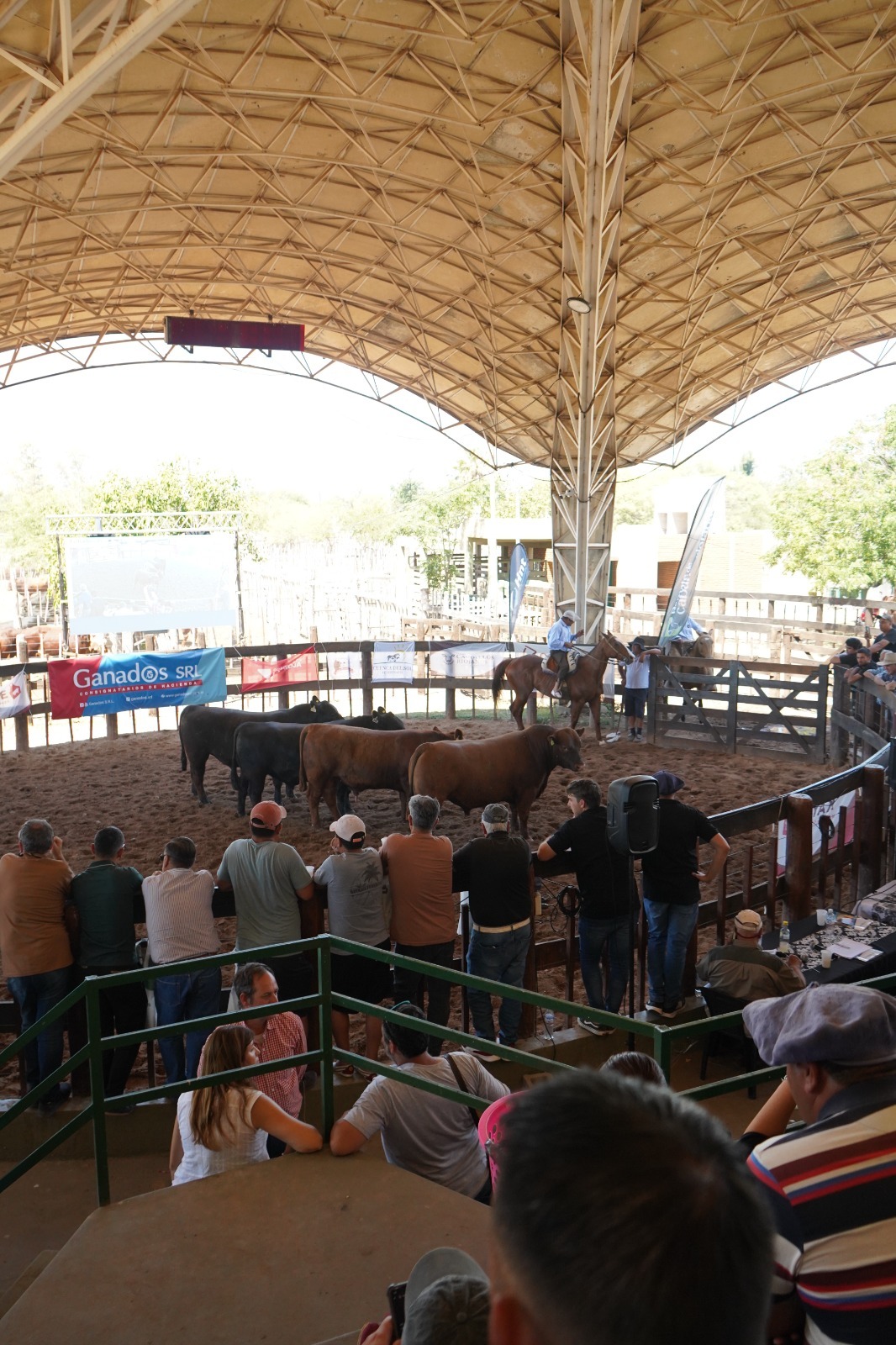 Quintela fortalece la ganader&iacute;a con nuevas oportunidades comerciales